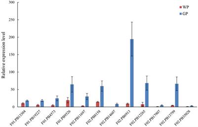 Integrative Analysis of Long- and Short-Read Transcriptomes Identify the Regulation of Terpenoids Biosynthesis Under Shading Cultivation in Oenanthe javanica